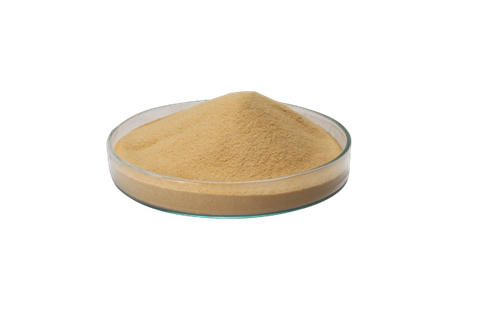 Amylase Enzyme