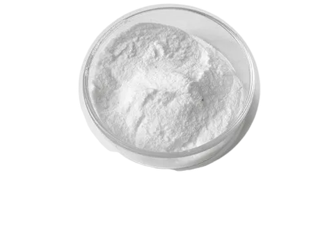 Lactobacillus casei