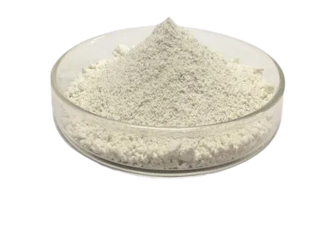 Bifidobacterium