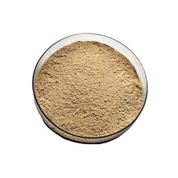Bacillus licheniformis