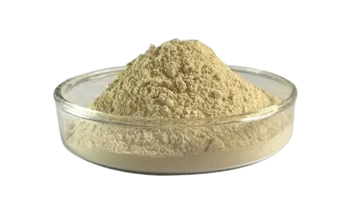 Protease Enzymes