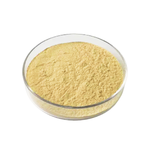 Lactobacillus plantarum