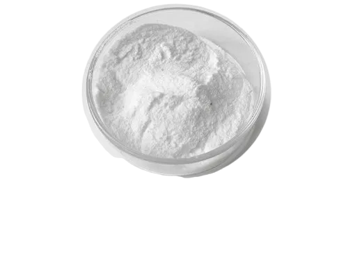 Lactobacillus casei