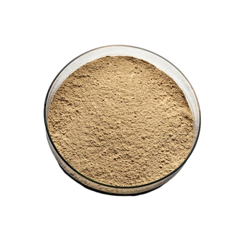 Lactobacillus Acidophilus