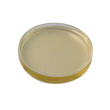 Lipase Enzyme