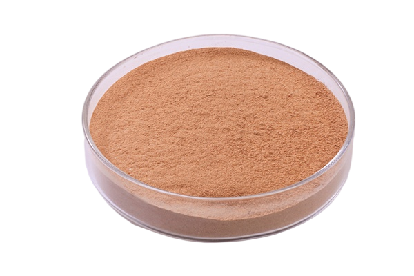 Cellulase Enzymes