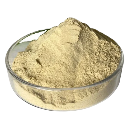 Xylanase Enzyme