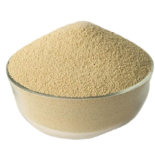 Pectinase Enzyme