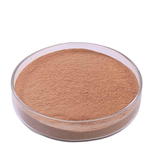 Protease Enzyme