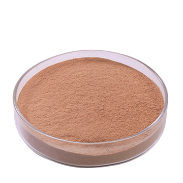 Protease Enzyme