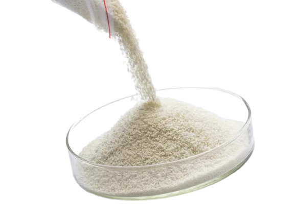 Phytase Enzyme