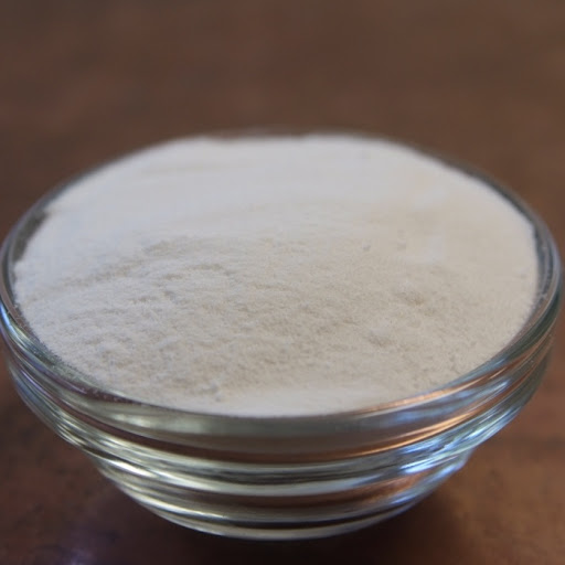 Lactobacillus bulgaricus