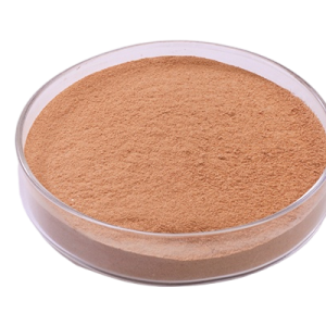 Protease Enzyme
