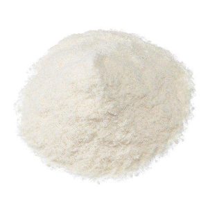 Bifidobacterium