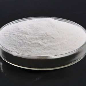 bacillus subtillus
