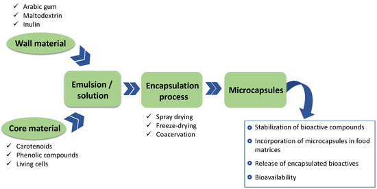 MALTODEXTRIN IN CAPSULATION